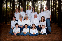 THE WILLIAMSON FAMILY